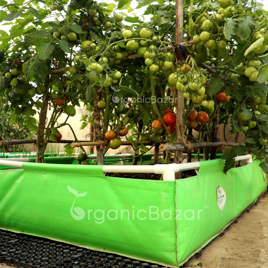 HDPE 72x36x12 Rectangle Grow Bag