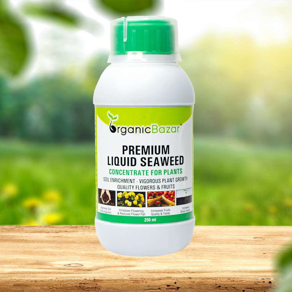 liquid seaweed for house plants Buy Best Seaweed Liquid Fertilizer In India Online