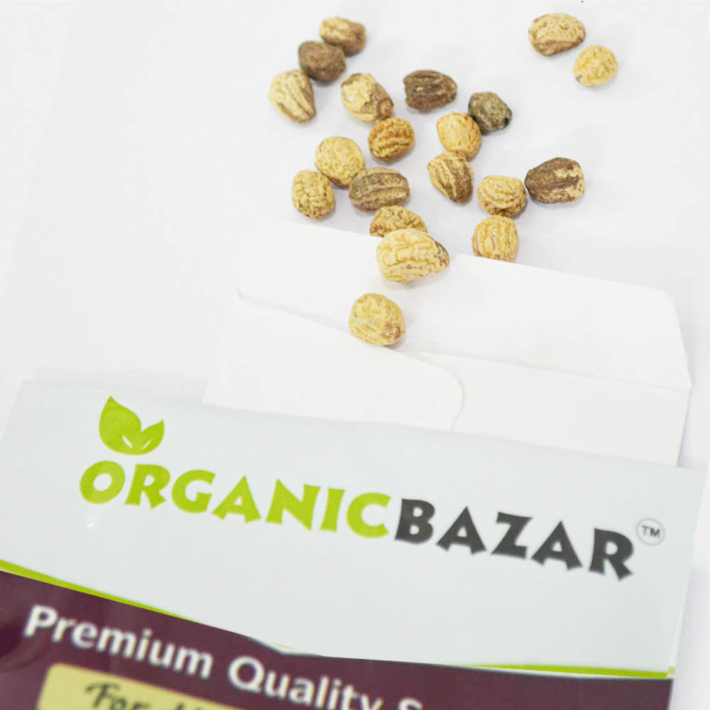 Nasturtium Variegated Mix Seeds