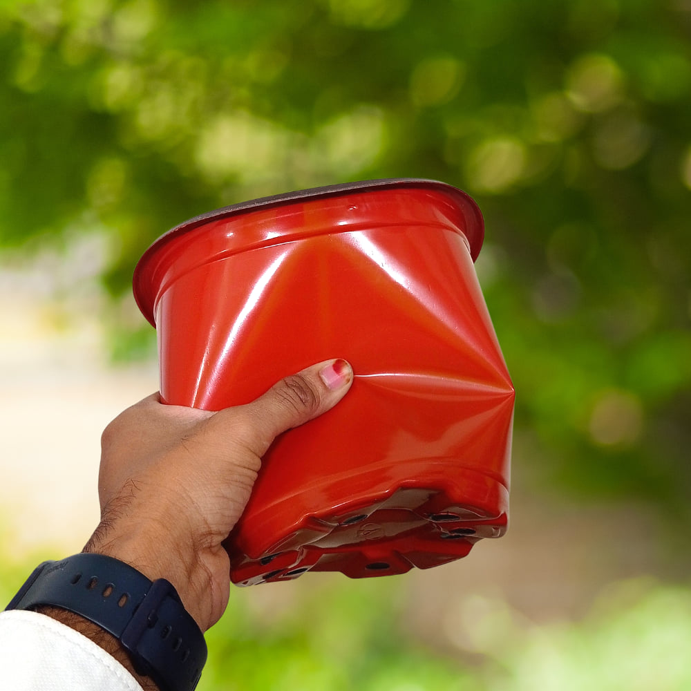 OB Thermoform pot 7 inch (torsion) Terracotta