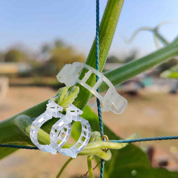 Plant Support Clips For Home Garden