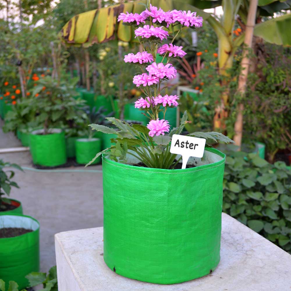 Plant tag with grow bag