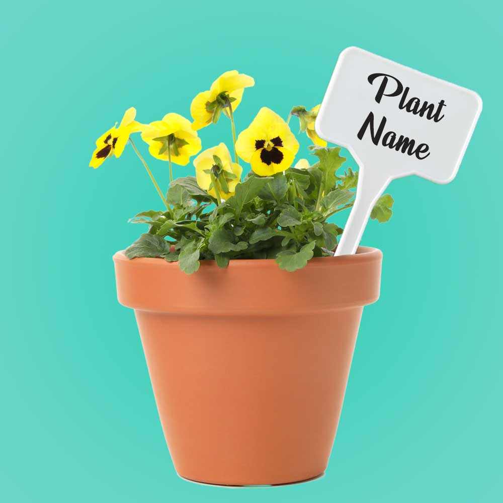 Plastic T Type Plant Tags Markers