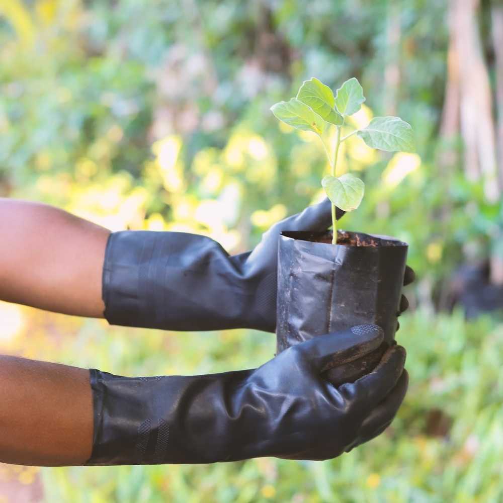 Rubber Hand Gloves Non-Slip Black (6)