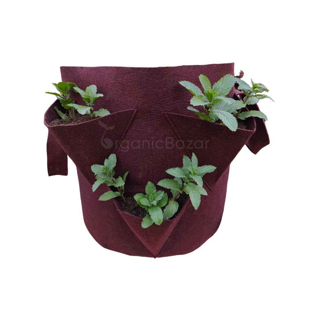 hanging pouches for plants 6-Pouch Side Pocket Grow Bag: The Ultimate Urban Farming Solution – Organicbazar