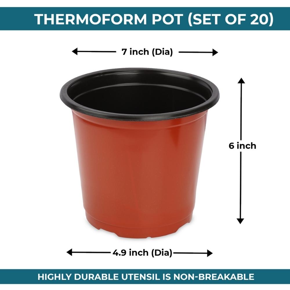 Thermoform Pot 7 Inch Terracotta Color (2)