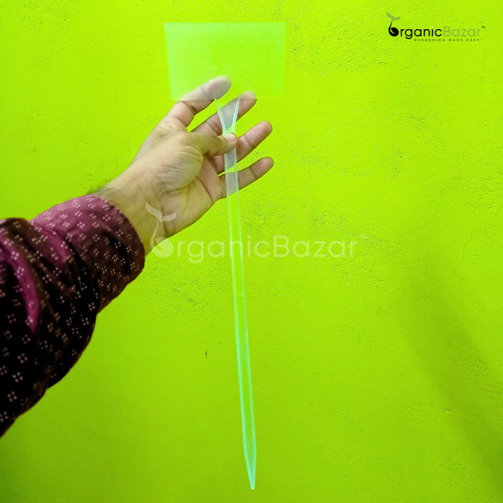 Transparent Big Plant Tag comparison