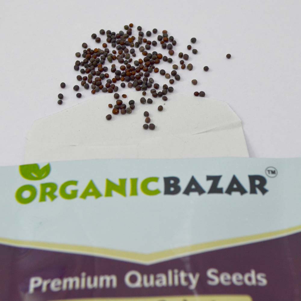 Turnip Imp Golden Yellow Seeds