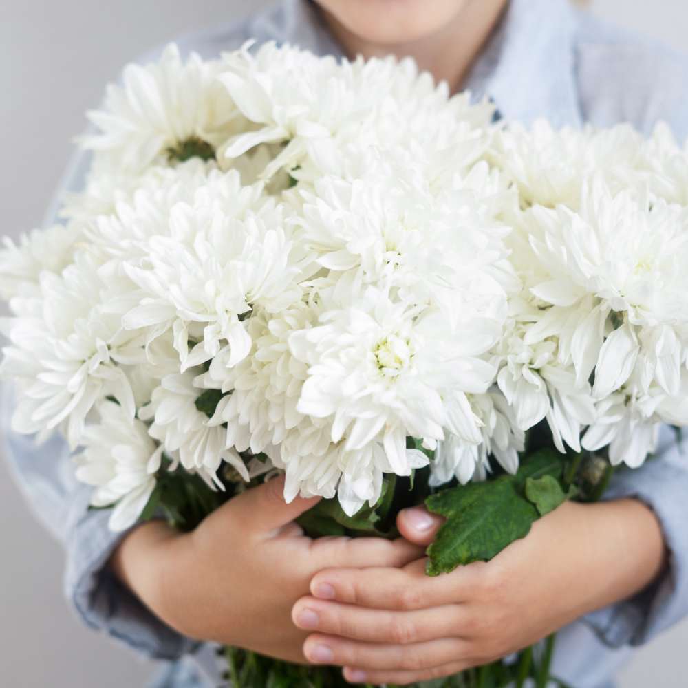 China Aster White Seeds