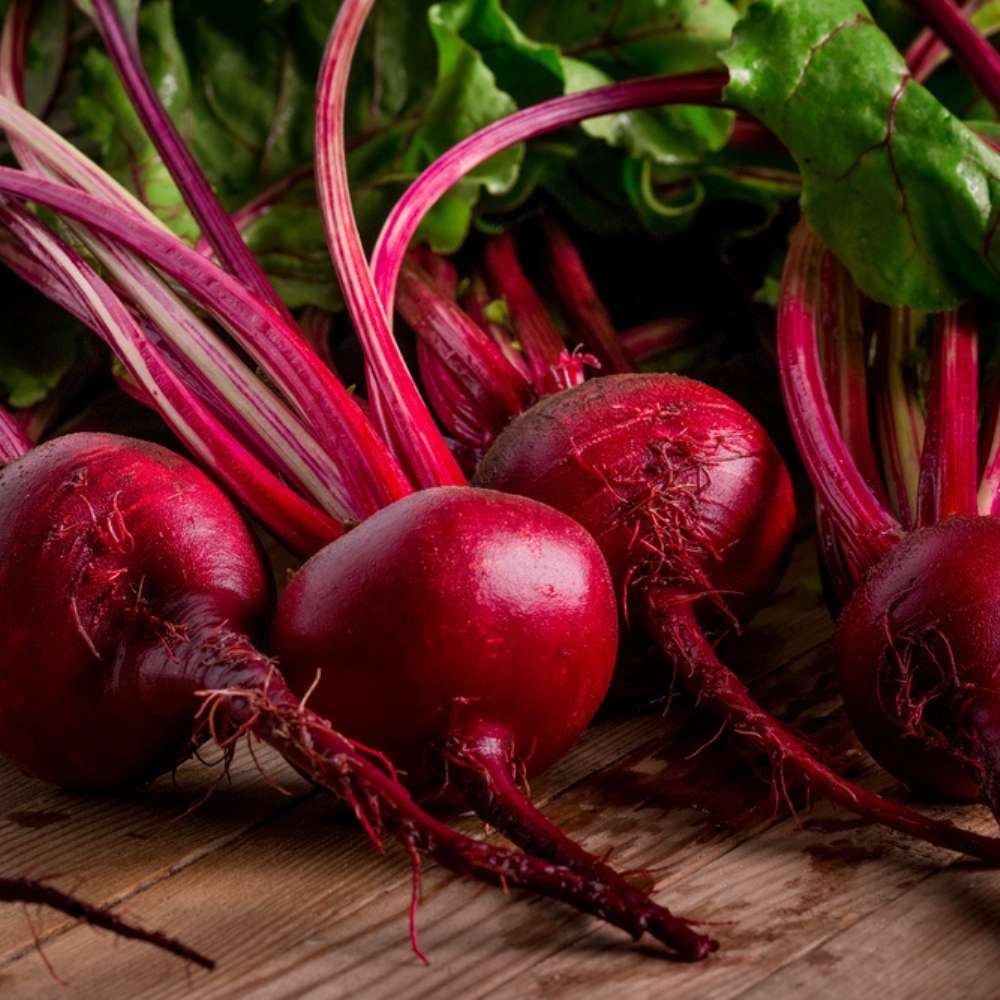 Organic Beetroot (Chukandar) seeds