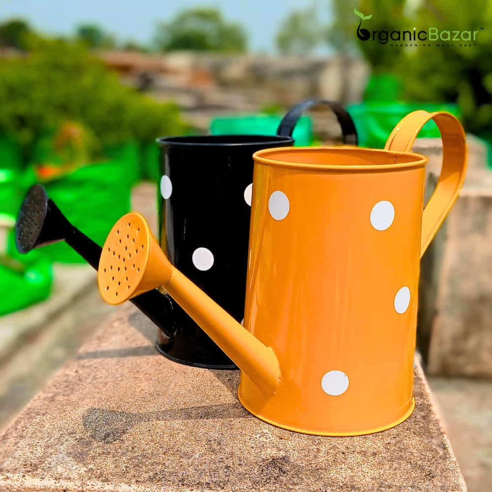 Buy Metal Watering Can 2L at Online at Best Prices in India