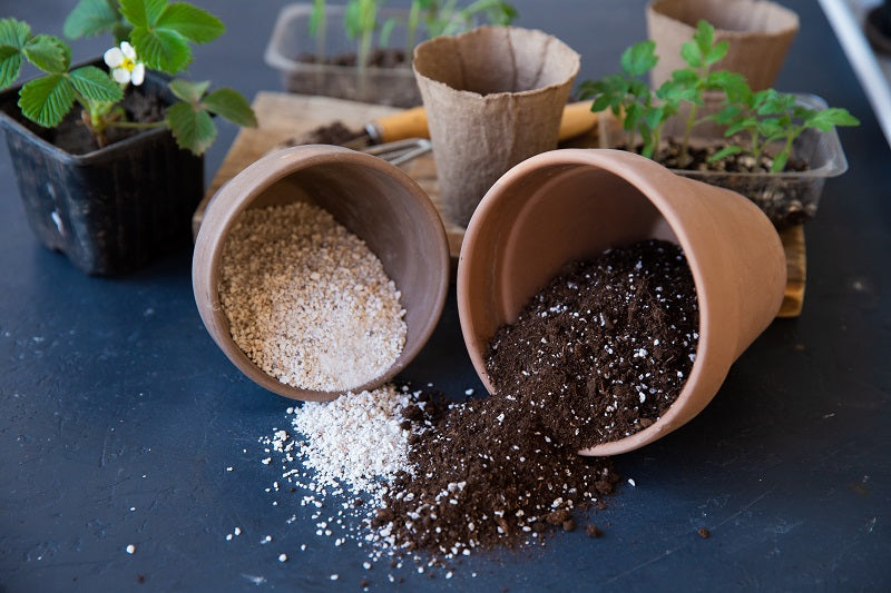 A,Mixture,Of,Ground,,Perlite,And,Vermiculite.,The,Concept,Growing