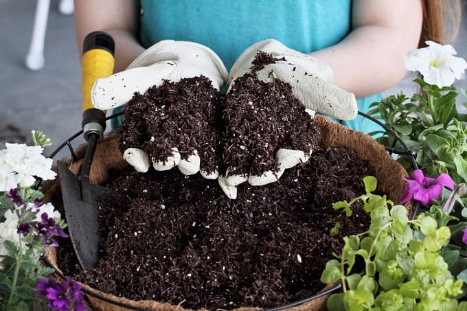 seedling mix kit