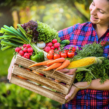Organic Seeds for gardening