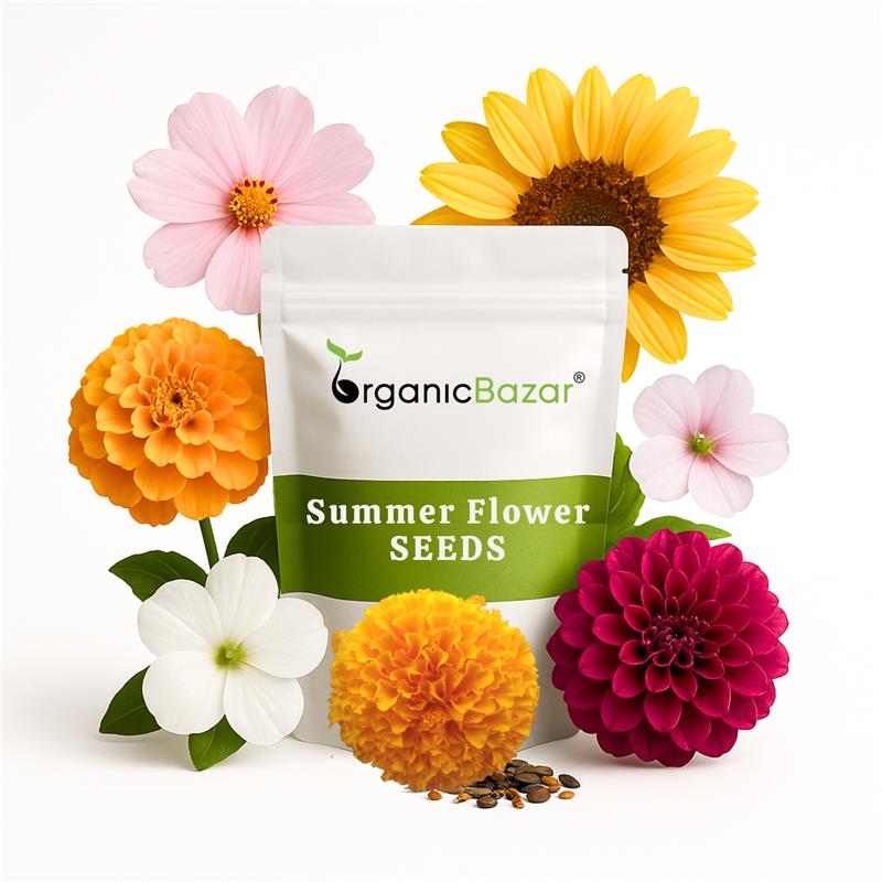 summer flower seeds online india