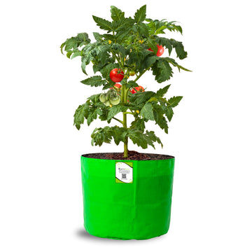 OrganicBazar 10x10 Grow Bags for Home Gardening, Premium HDPE 260 GSM, Green Plant Bags