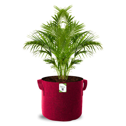 Geo Fabric 12x12 Grow Bag For Terrace Gardening Suitable For Vegetable and Flower Plants