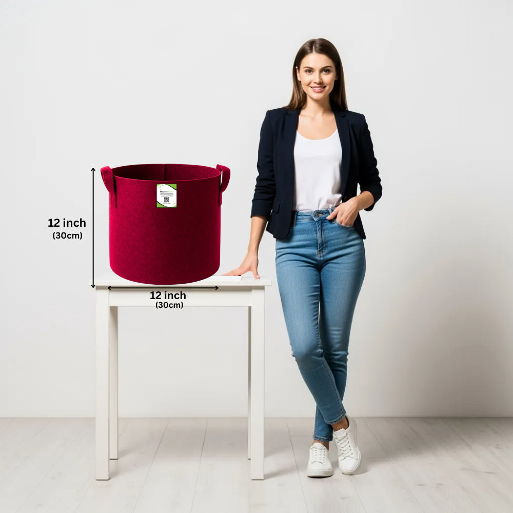 Geo Fabric 12x12 Grow Bag For Terrace Gardening Suitable For Vegetable and Flower Plants