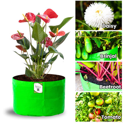 OrganicBazar 12x9 Grow Bag for Vegetable Garden, Premium HDPE 260 GSM Green Plant Bags for Terrace Garden