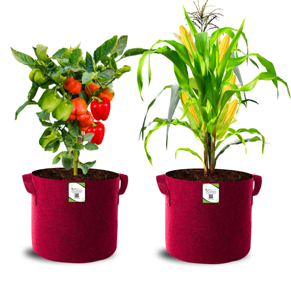 Geo Fabric 15x15 Grow Bag For Terrace Gardening Suitable For Vegetable and Flower Plants