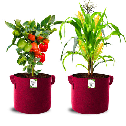 Geo Fabric 15x15 Grow Bag For Terrace Gardening Suitable For Vegetable and Flower Plants