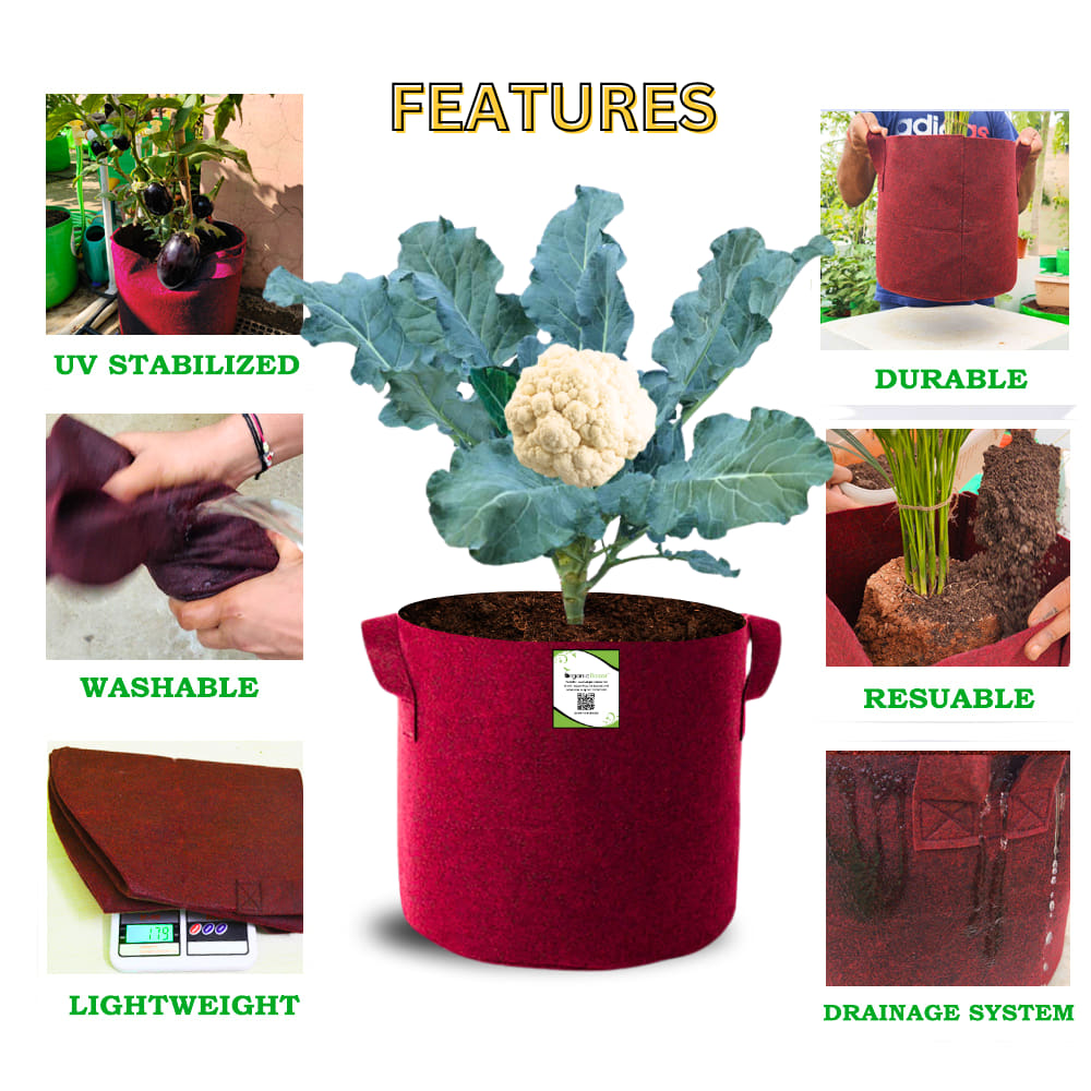 Geo Fabric 15x15 Grow Bag For Terrace Gardening Suitable For Vegetable and Flower Plants