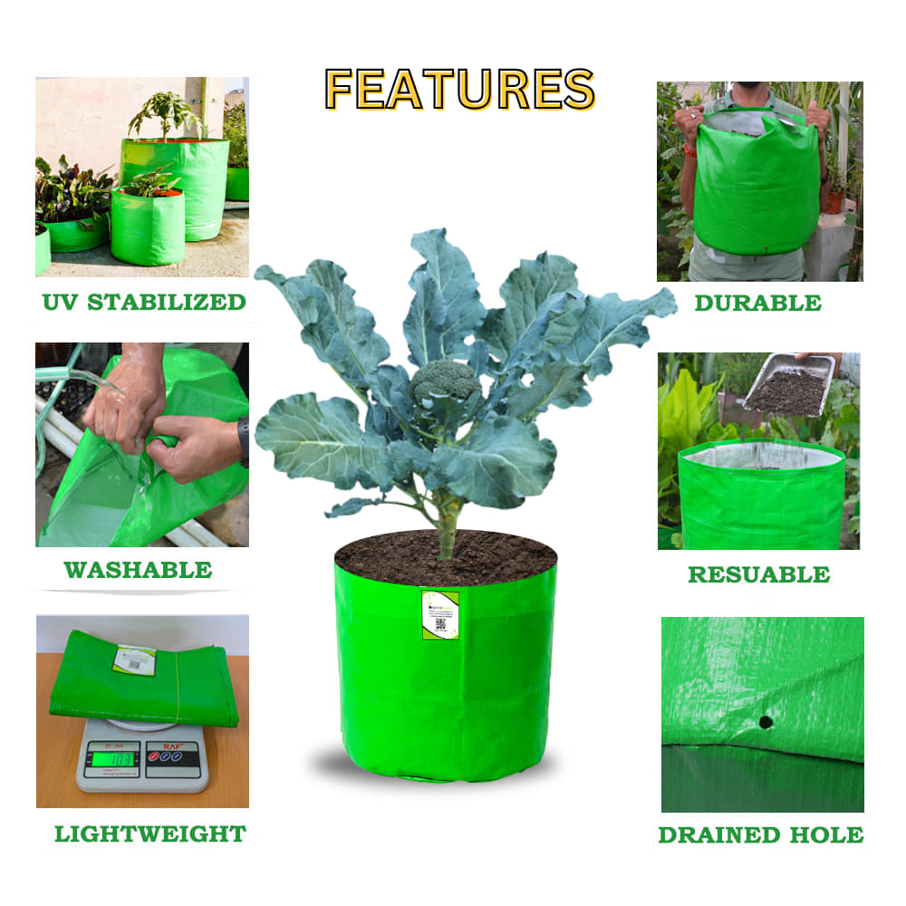 OrganicBazar 15x15 Grow Bag for Vegetable Gardening, Premium HDPE 260 GSM, Green Plant Bags for Terrace Garden