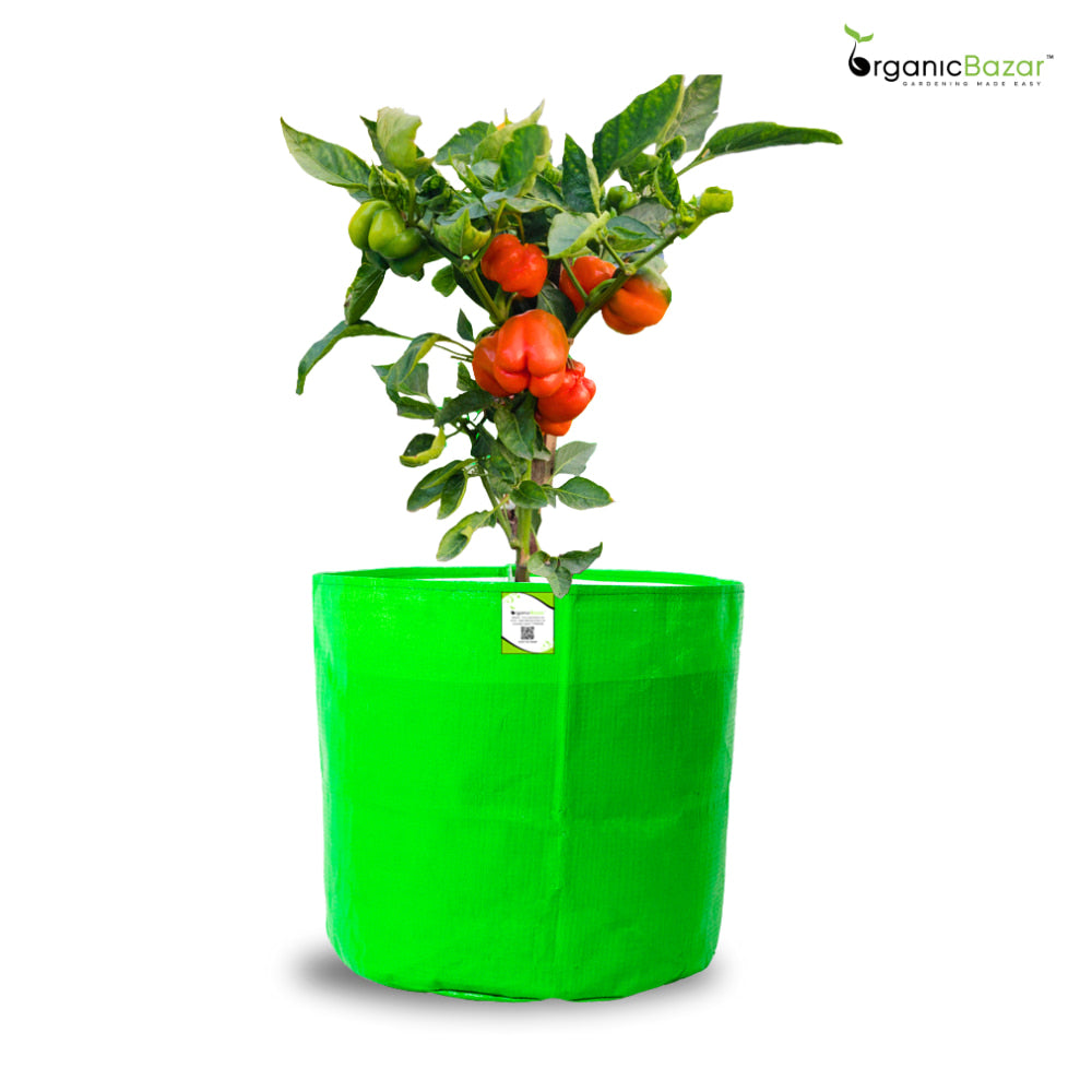 HDPE 15x15 Grow Bags for Terrace Gardening Extra Thick 260 GSM