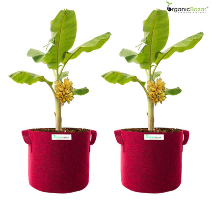 Geo Fabric 18×18 Big Size Grow Bag For Home Gardening Suitable For Fruit Plants