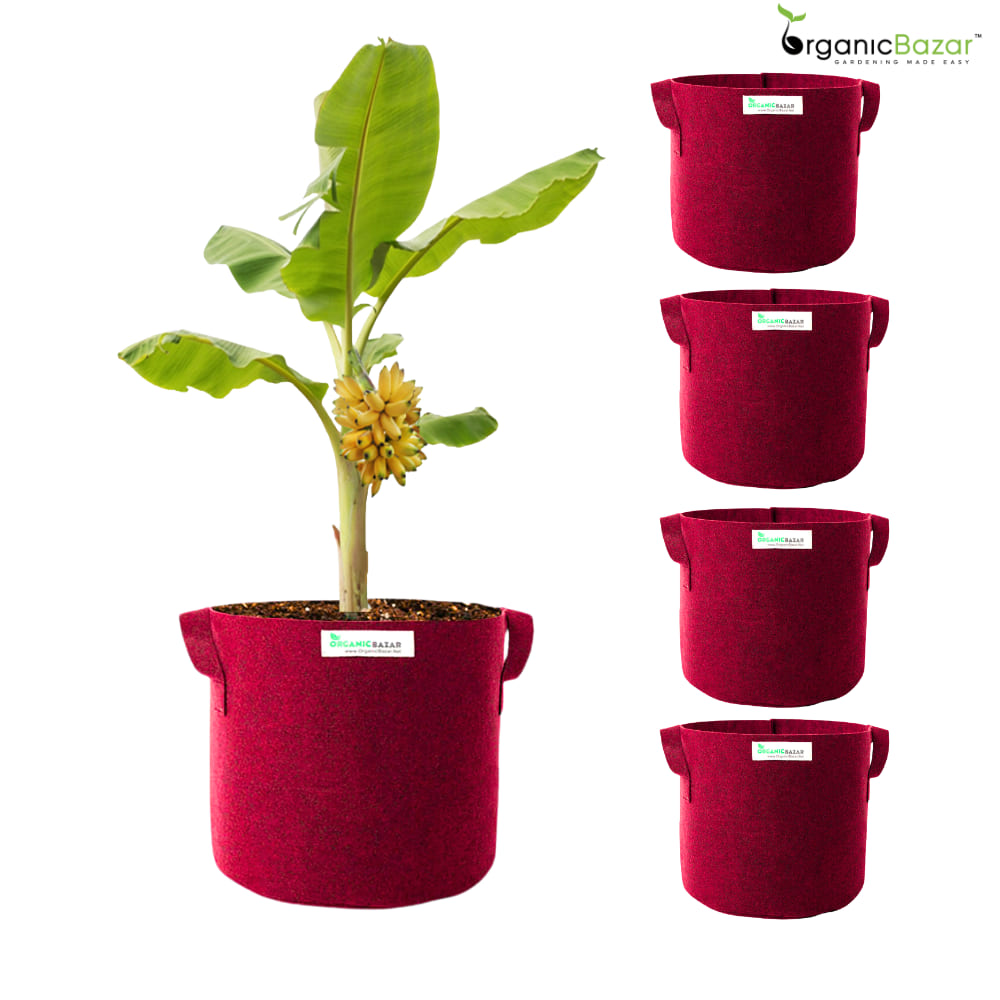 Geo Fabric 18×18 Big Size Grow Bag For Home Gardening Suitable For Fruit Plants