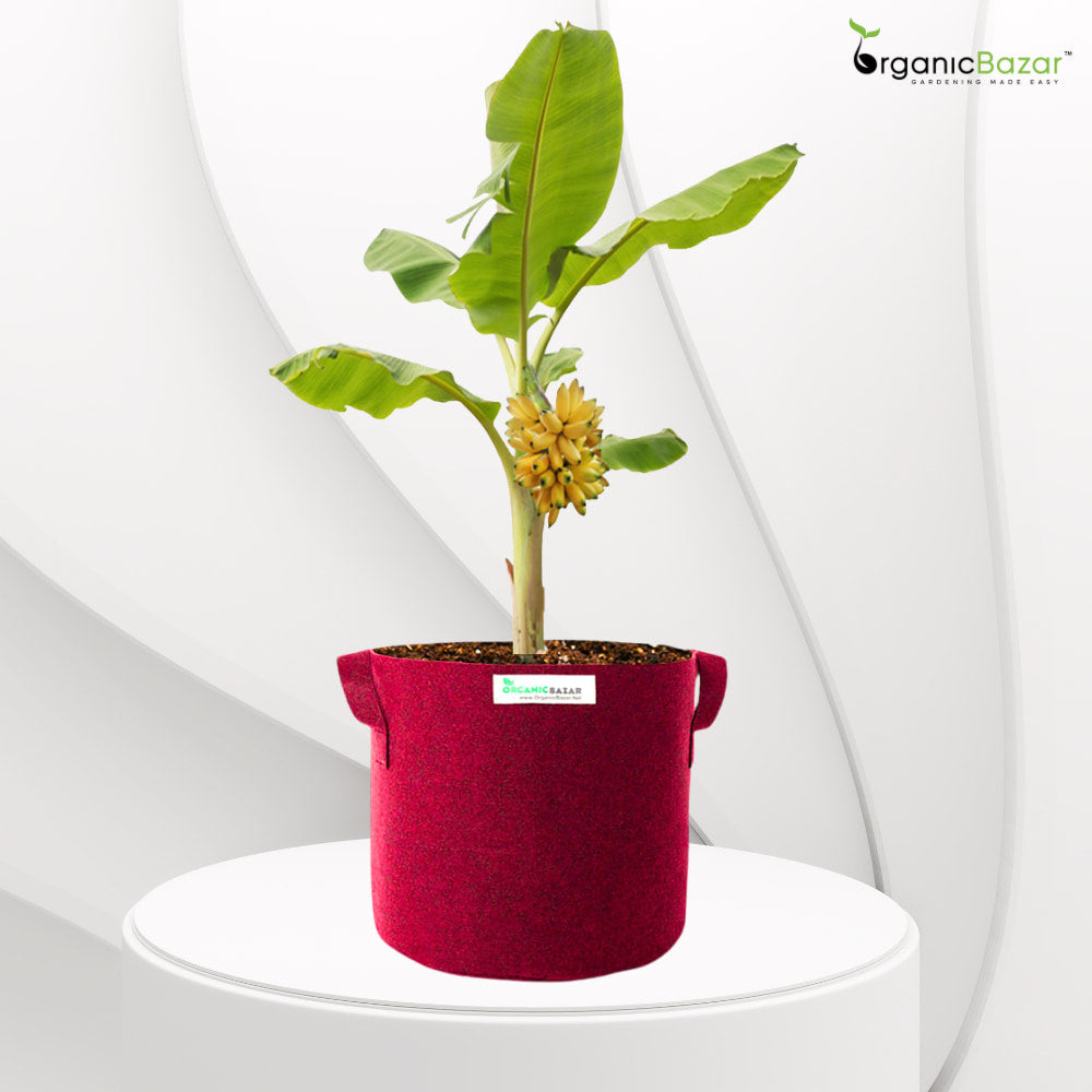 Geo Fabric 18×18 Big Size Grow Bag For Home Gardening Suitable For Fruit Plants