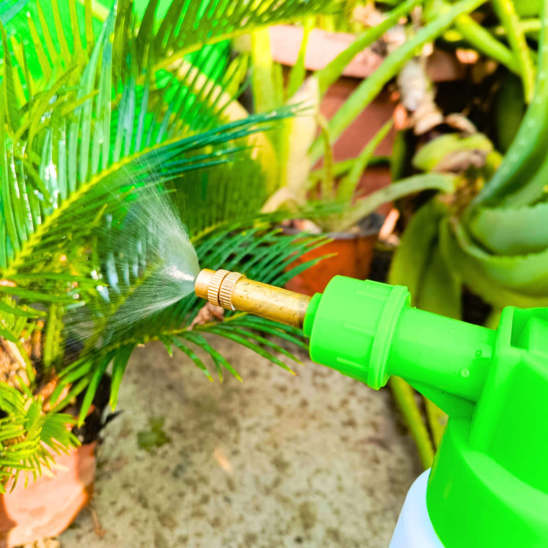 Premium High Pressure Garden Spray Pump (1 Liter)