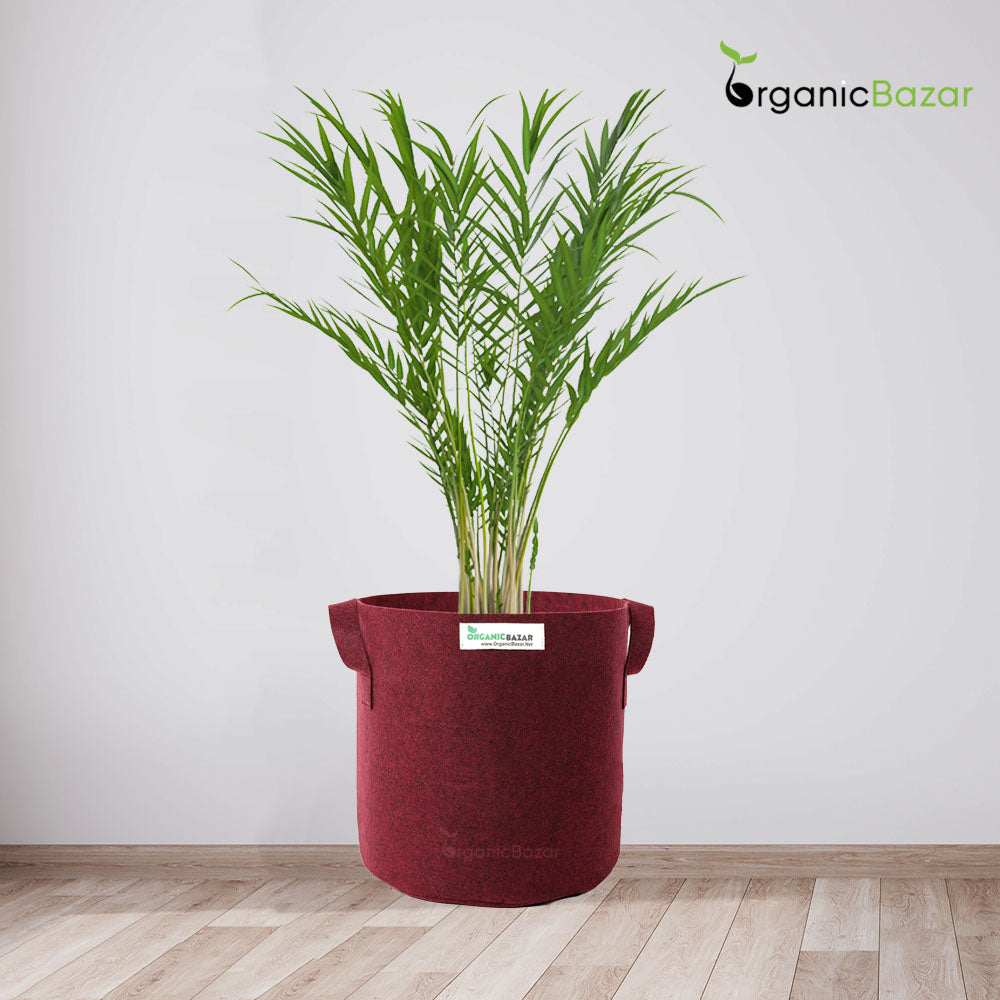 Premium 15x18 Geo Fabric Grow Bags For Terrace Gardening