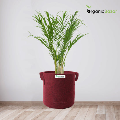 Premium 15x18 Geo Fabric Grow Bags For Terrace Gardening