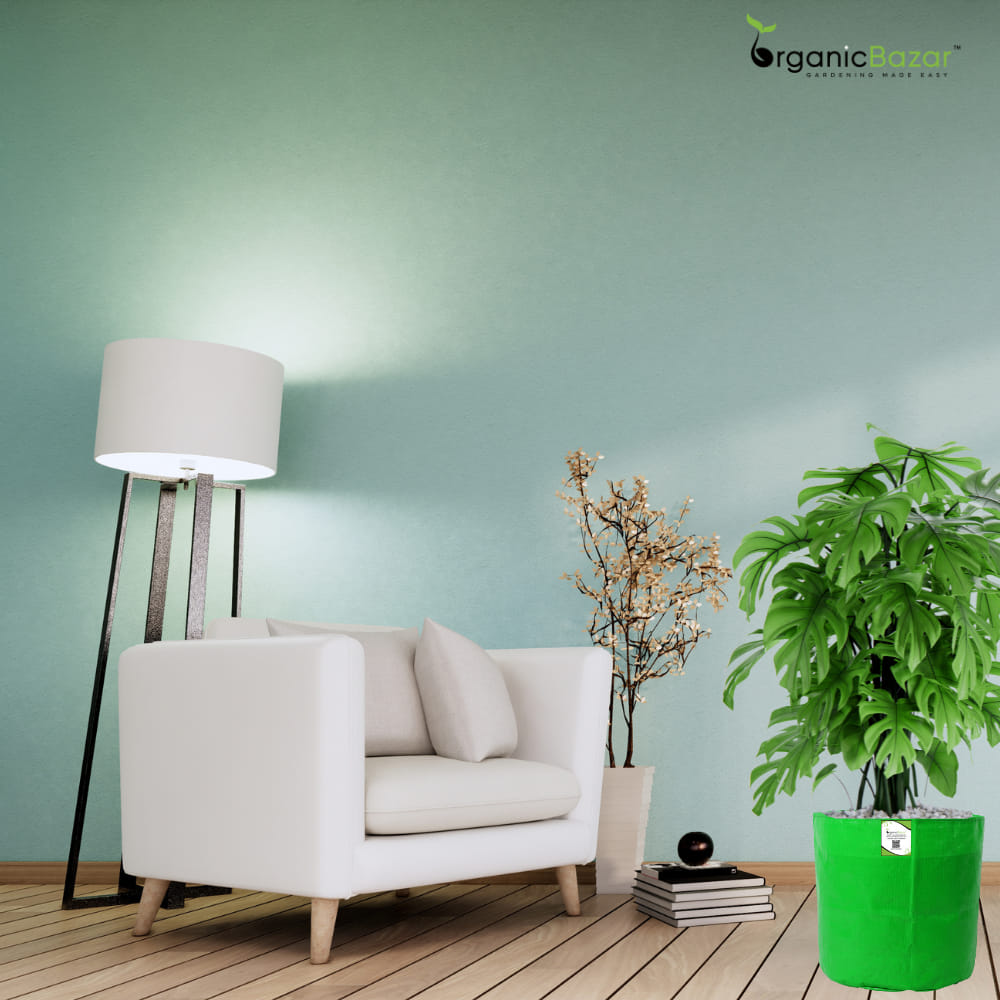 OrganicBazar HDPE 10×10 Cylindrical Grow Bag – 260 GSM | UV-Stabilized Round Grow Bag for Vegetables & Flowers