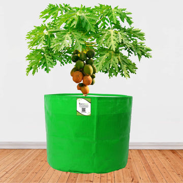 HDPE 21x21 Grow Bag for Terrace Gardening Extra Thick and Premium Quality Grow Bags