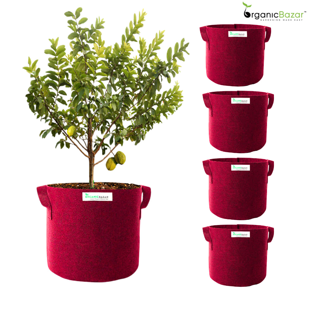 Geo Fabric 21×21 Big Size Grow Bag For Home Gardening Suitable For Fruit Plants