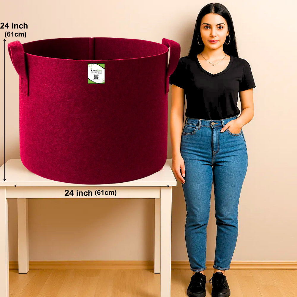 OragnicBazar Geo 24×24 Grow Bag for Home & Terrace Gardening Suitable for Fruit Tree, Premium Geo Fabric 450 GSM Plant Bags