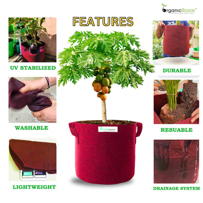 OragnicBazar Geo 24×24 Grow Bag for Home & Terrace Gardening Suitable for Fruit Tree, Premium Geo Fabric 450 GSM Plant Bags