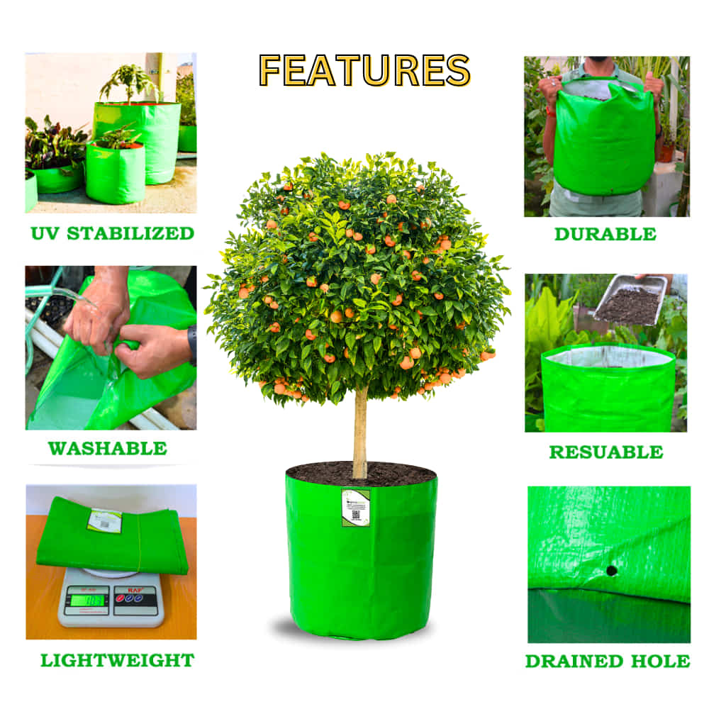 OrganicBazar HDPE 24x24 Big Size Grow Bags for Home Gardening | Plants Bags for Fruits, Vegetables, & Flowers | Round Green Planting Bags | 260 GSM Garden Growing Bag