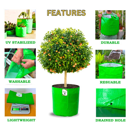 OrganicBazar HDPE 24x24 Big Size Grow Bags for Home Gardening | Plants Bags for Fruits, Vegetables, & Flowers | Round Green Planting Bags | 260 GSM Garden Growing Bag