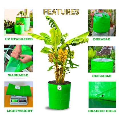 OrganicBazar 24X36 Very Large Grow Bag for Fruit Tree, Premium HDPE 260 GSM Green Big Planter for Terrace Garden