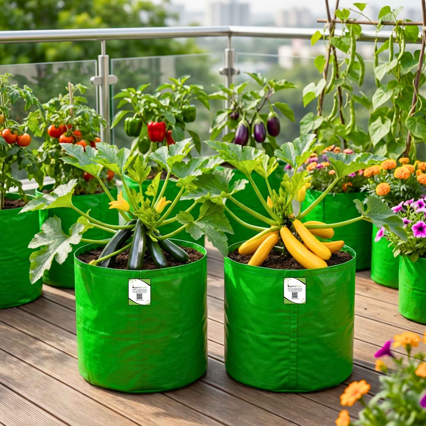 2 Different Color Varieties Zucchini Seeds Packets