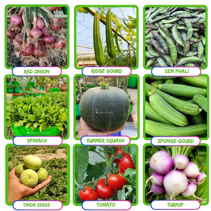 35 Variety Of Vegetable Seeds Kit With High Germination Rate (8800 Seeds)