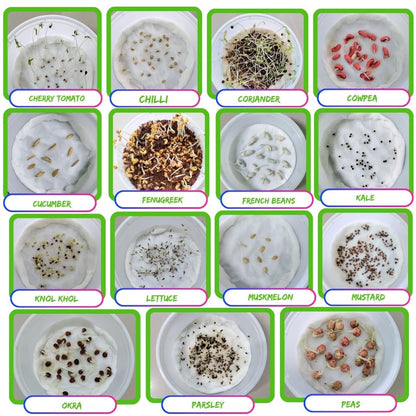 45 Variety of Vegetable Seeds kit With High Germination Rate