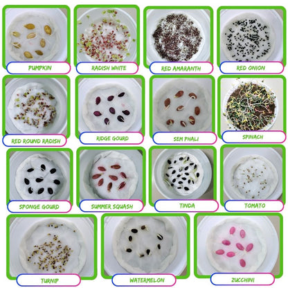 45 Variety of Vegetable Seeds kit With High Germination Rate