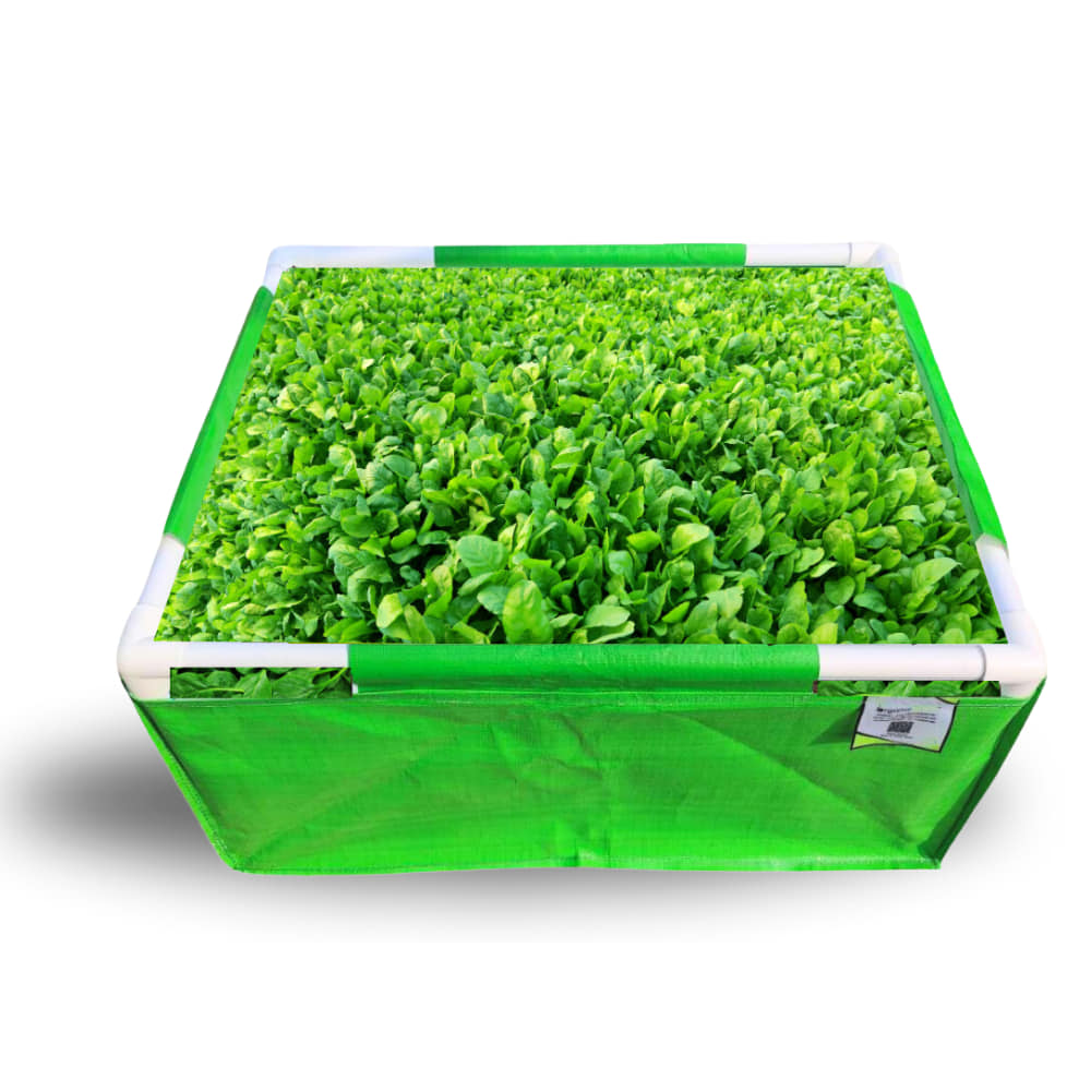 OrganicBazar 24x18x12 Rectangular Grow Bags with PVC Support Pipes for Terrace Garden