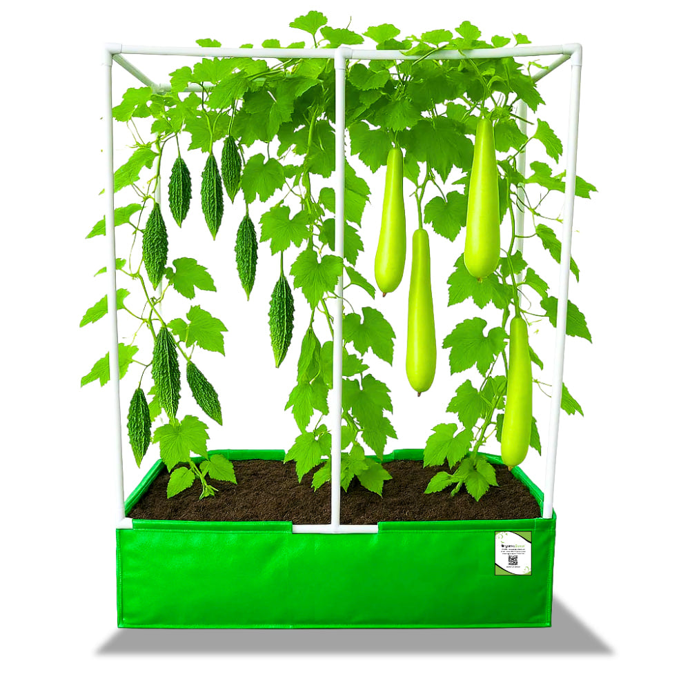 OrganicBazar 48x24x12 Rectangular Grow Bag with Long Frame for Creeper Plants