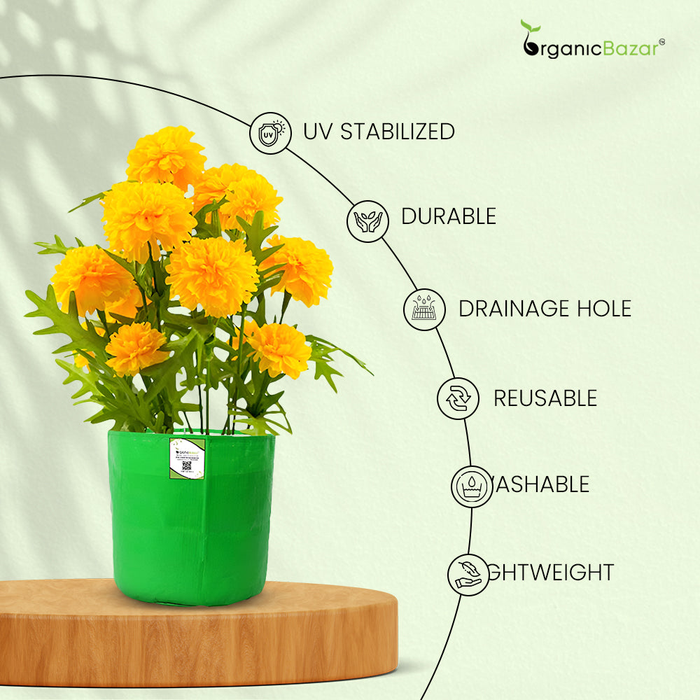 OrganicBazar 9x9 Small Grow Bag for Terrace Garden, Premium HDPE 260 GSM, Green Plant Bags