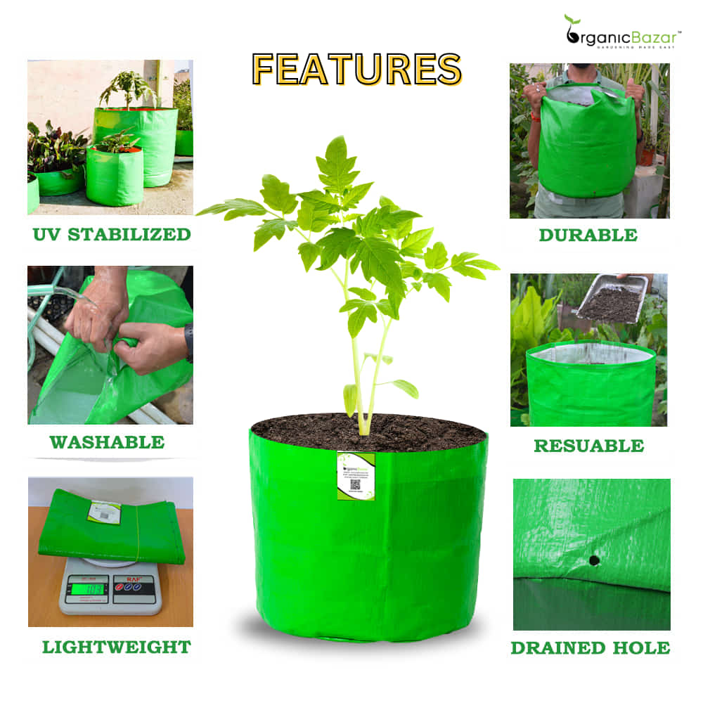 OrganicBazar 5x5 Small Size Grow Bag for Nursery Plants, Premium HDPE 260 GSM, Green Plant Bags